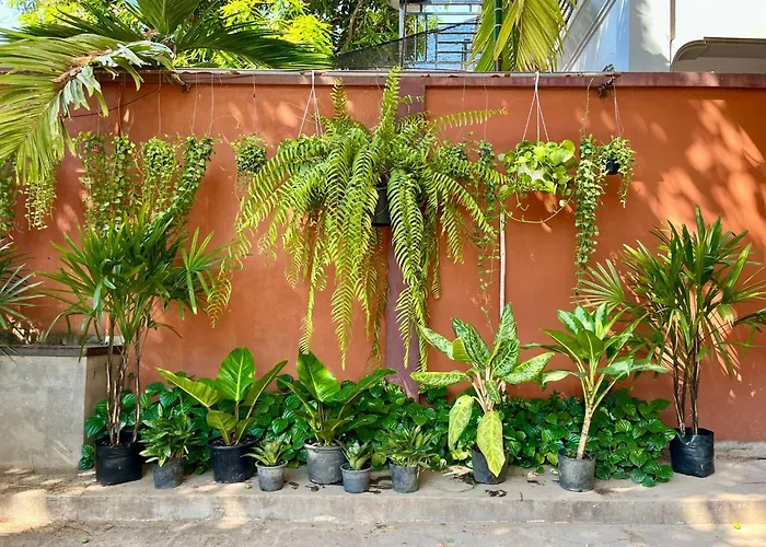 Canopy * シェムリアップ